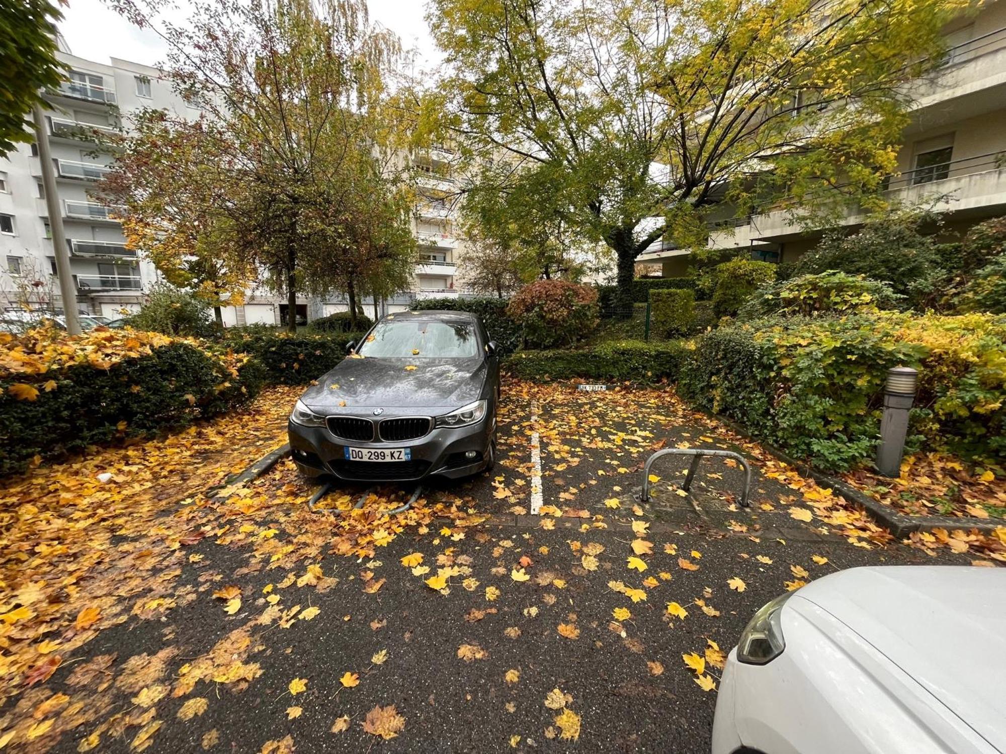 Charmant T2 + Parking Et Balcon Daire Strazburg Dış mekan fotoğraf